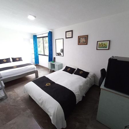 Ayenda RCH Suite Meksika Dış mekan fotoğraf