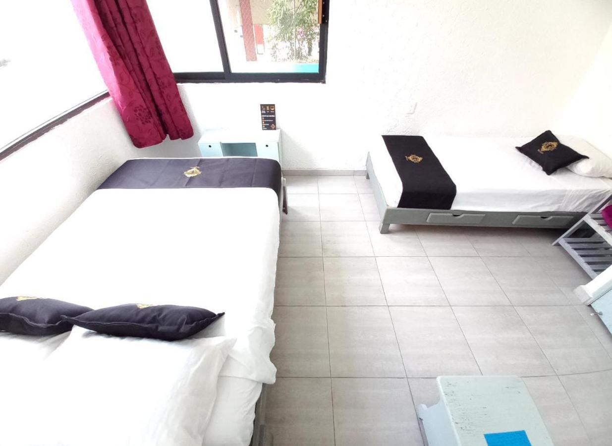 Ayenda RCH Suite Meksika Dış mekan fotoğraf